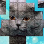 PicPu – Cat Puzzle